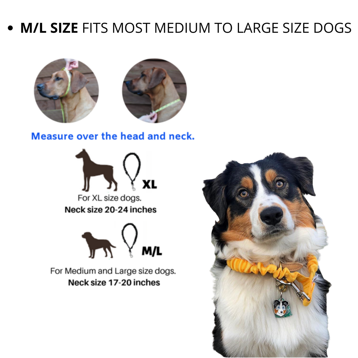 20 meter dog lead cheap