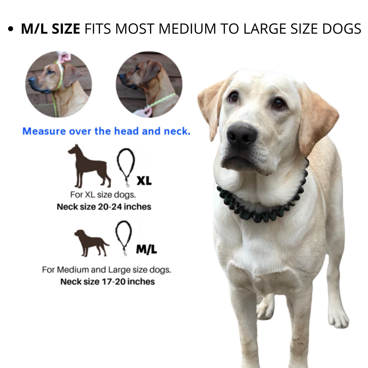 Leash around top neck
