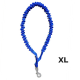 Only Leash - Blue - Only Leash