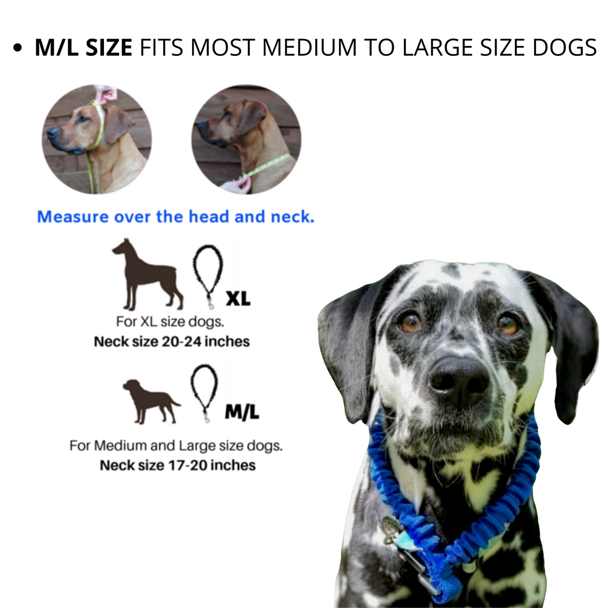 Only Leash Blue