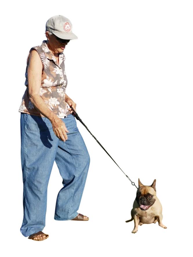 Dog leash 2025 small dog