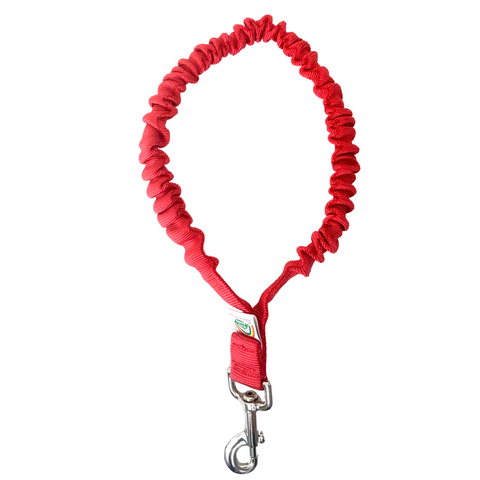Only Leash - Red